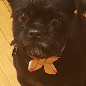 Meet your Posher, Michaele